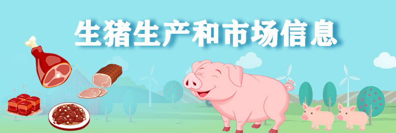 生豬生產和市場信息